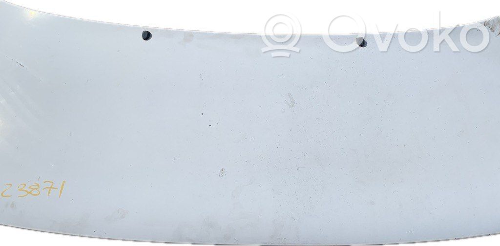 Dzinēja pārsegs (vāks)   509170