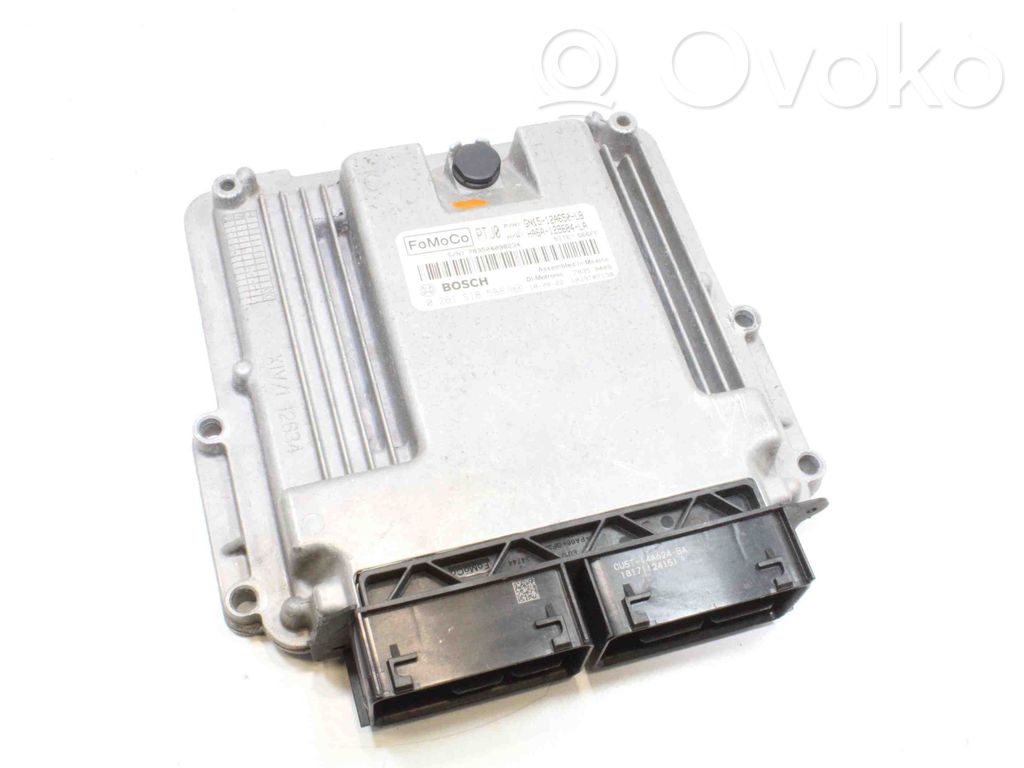 Ford Fiesta Engine control unit/module 