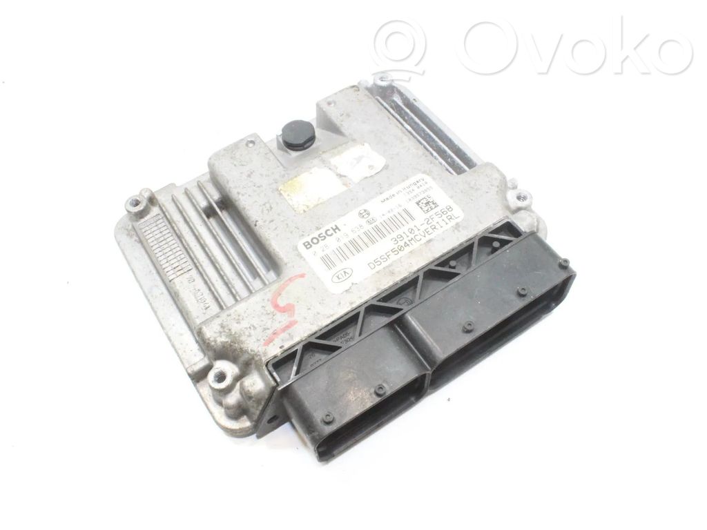Engine control unit/module   391012F568,0281019638