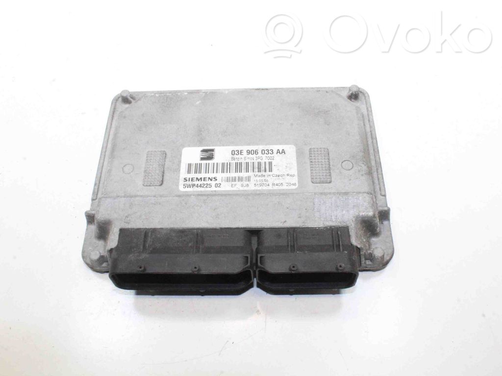 Seat Ibiza III (6L) Engine control unit/module 