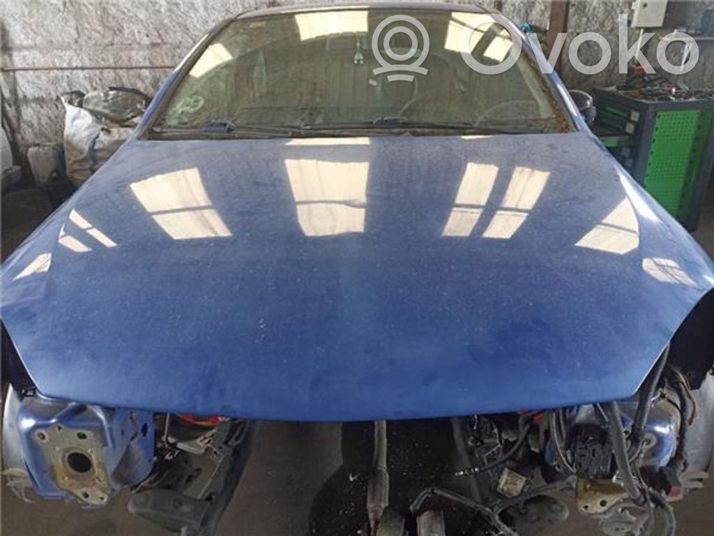 Engine bonnet/hood