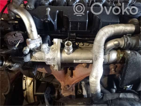 EGR dzesētājs   9645689780,875816W