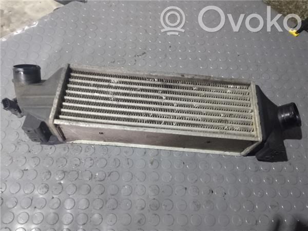 Intercooler radiator   1C159L440BA,FD4315