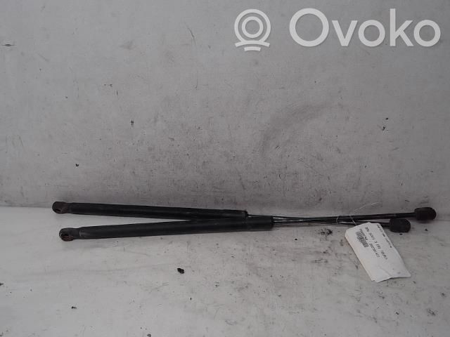 Tailgate/trunk strut/damper   51247127875