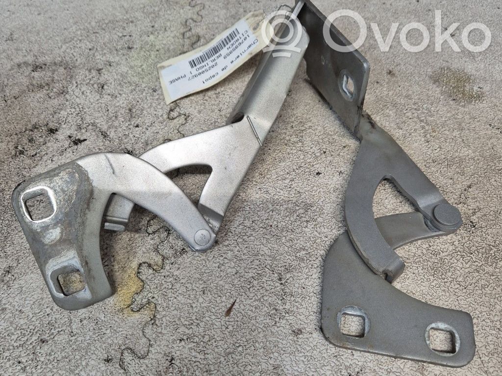 Citroen Berlingo Konepellin saranat 