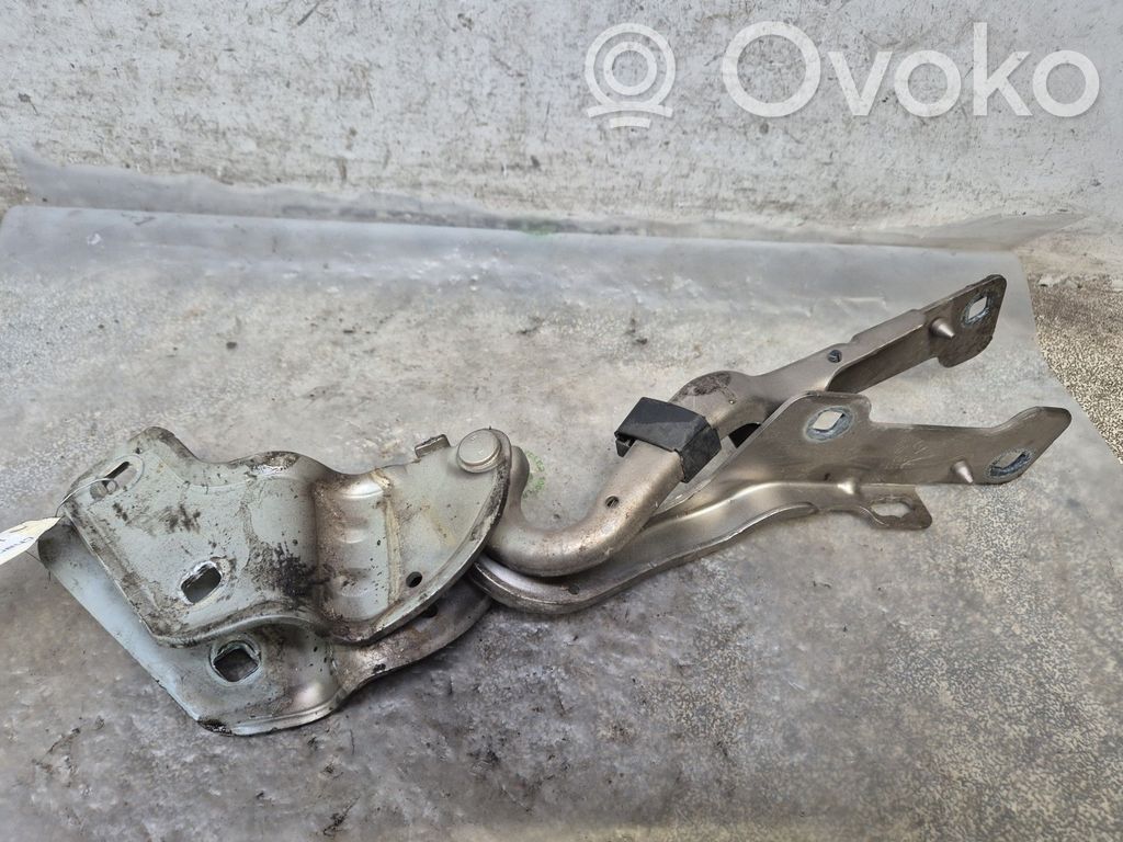 Renault Clio III Cerniere del vano motore/cofano 
