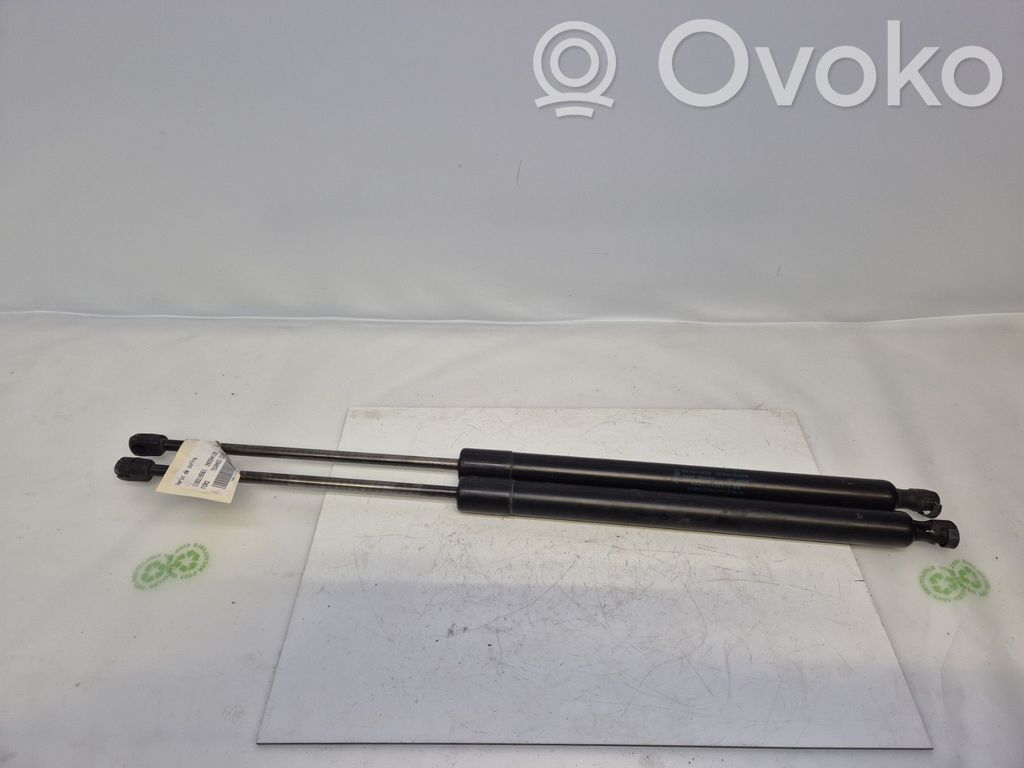 Ford Tourneo Custom Tailgate/trunk strut/damper 