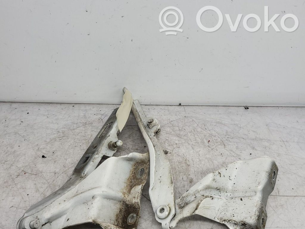 Audi Q5 SQ5 8R Cerniere del vano motore/cofano