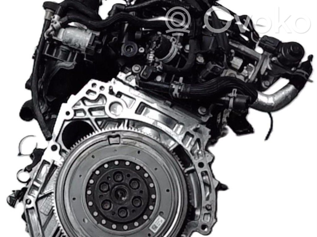 Renault Arkana Engine 