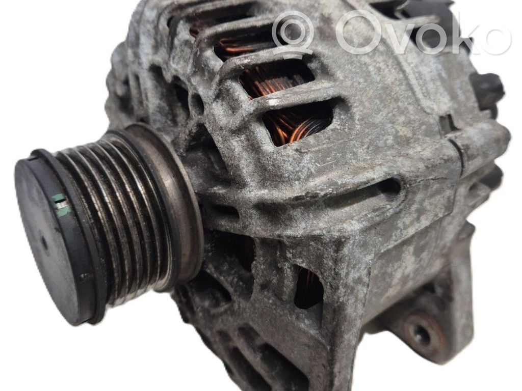Generator/alternator   231008017R