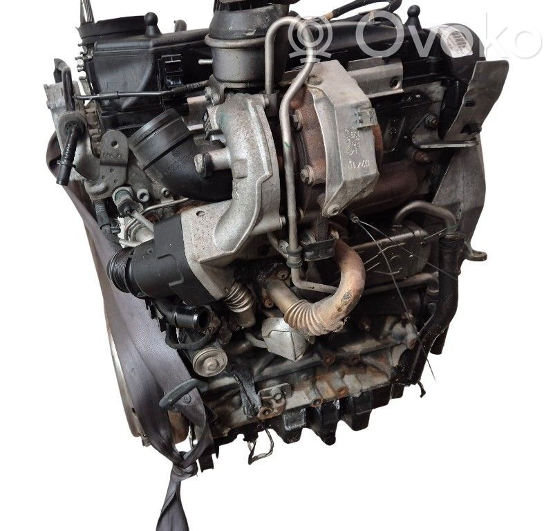 Seat Ibiza IV (6J,6P) Motor 