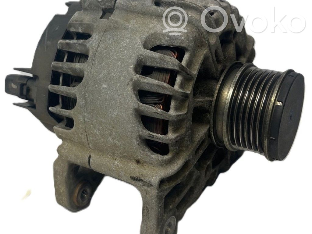 Generator/alternator   231008017R