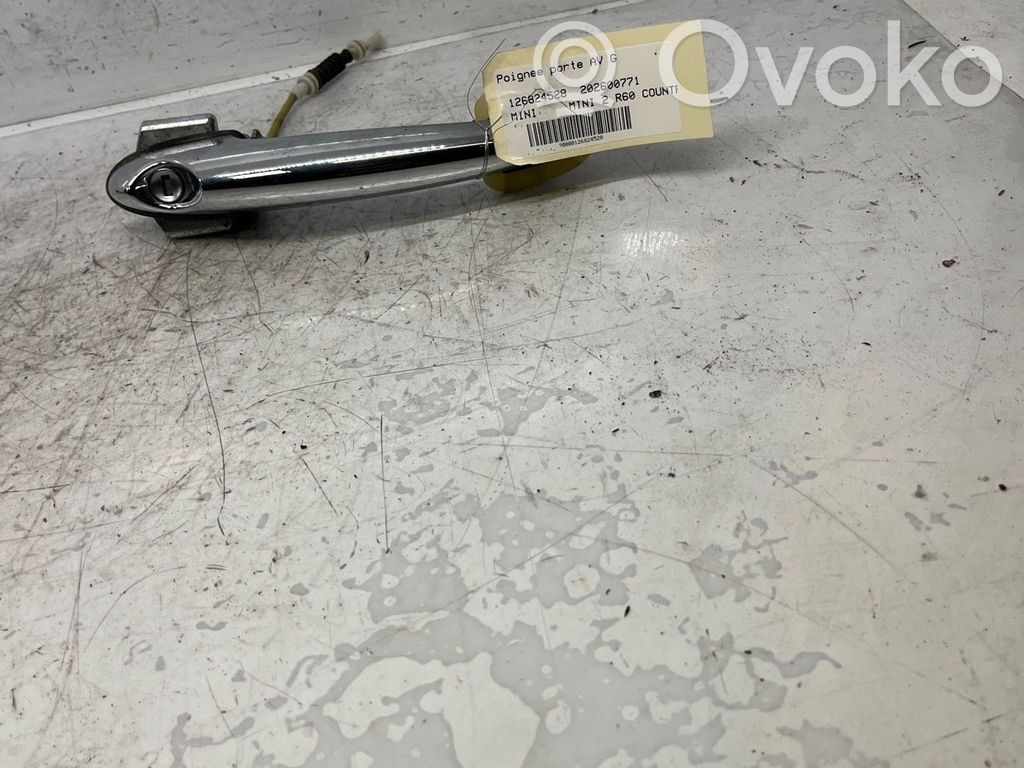 Mini Cooper Countryman R60 Manecilla externa puerta delantera 