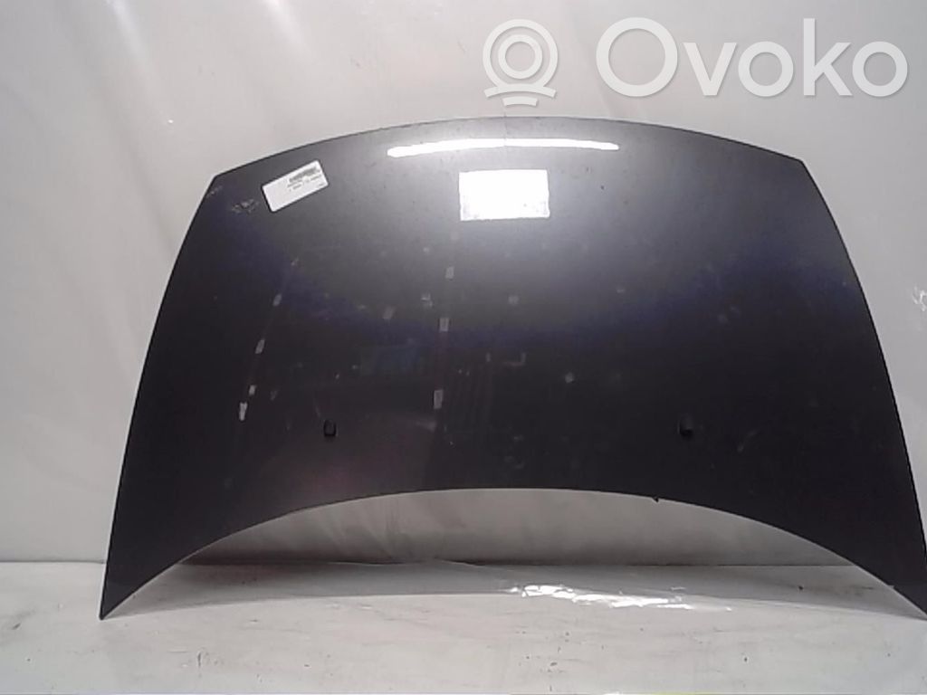 Motorhaube   7901N0