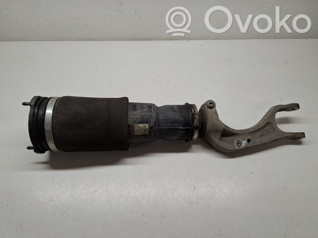 Tesla Model X Front shock absorber/damper 