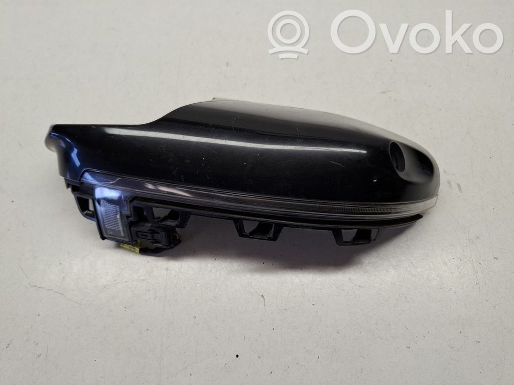 BMW X3 G01 Mirror indicator light 