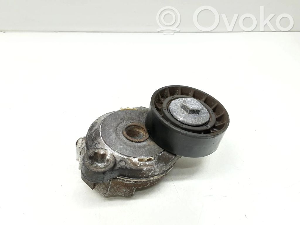 Volvo V70 Napinacz paska alternatora 
