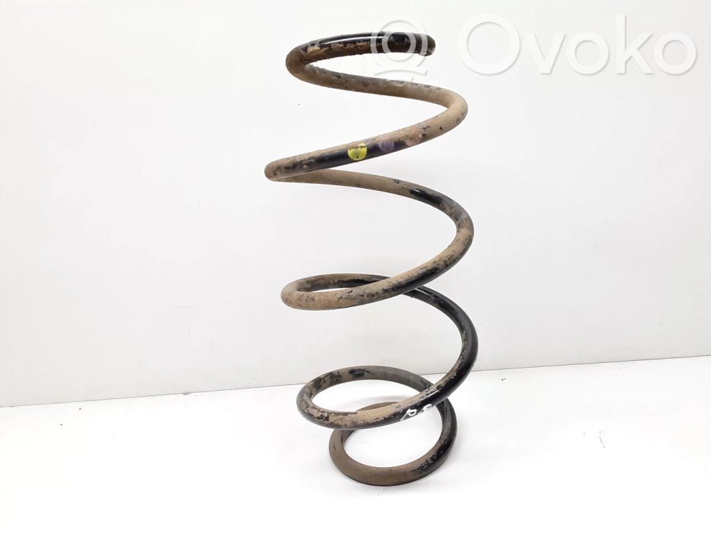 Front coil spring
