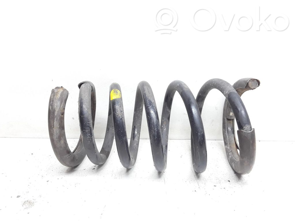Rear coil spring