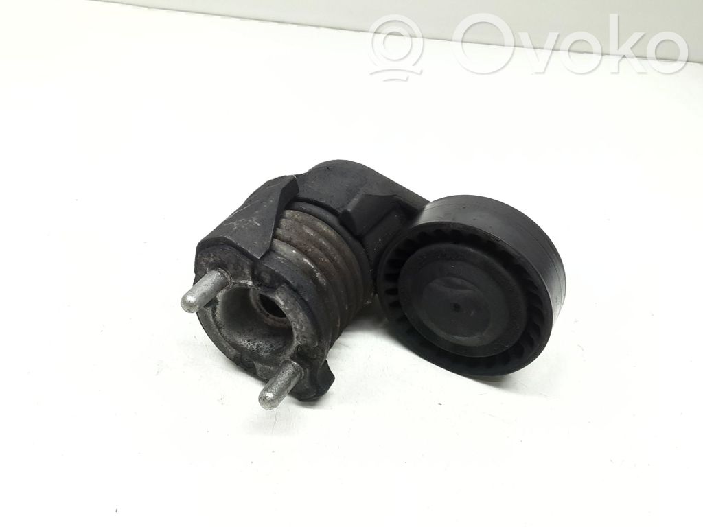 Volvo V40 Întinzător curea generator/alternator 