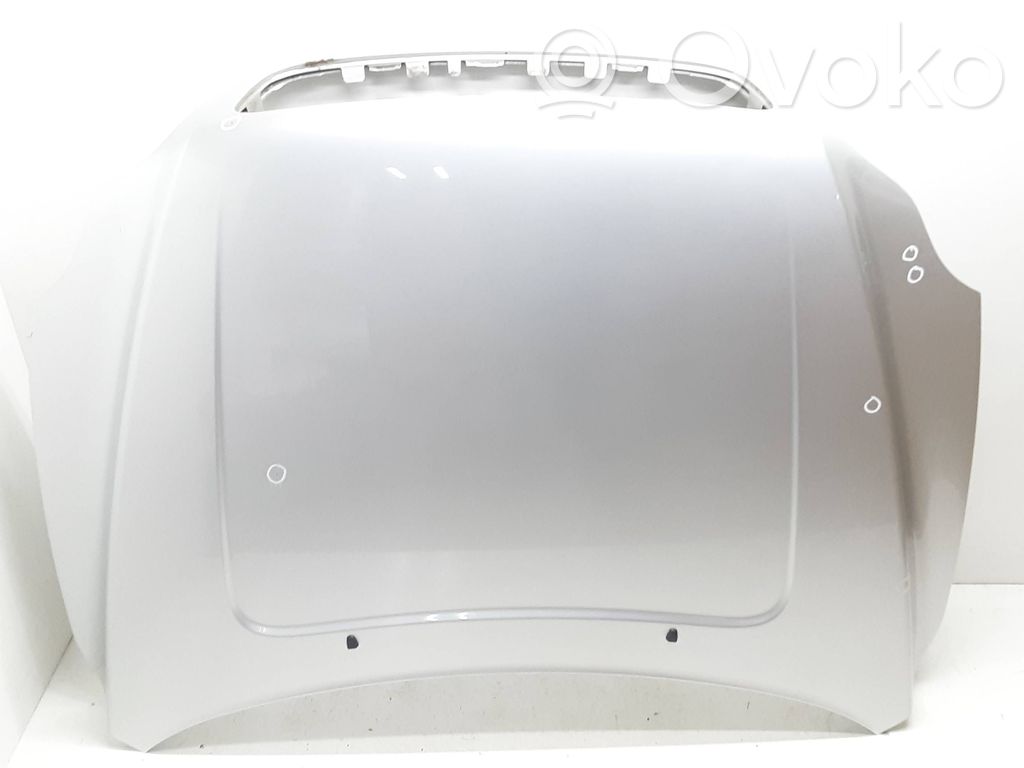 Engine bonnet/hood
