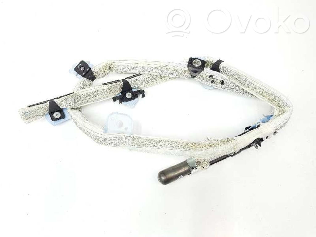 Airbag del techo   72126966646,30380425F,856966646080