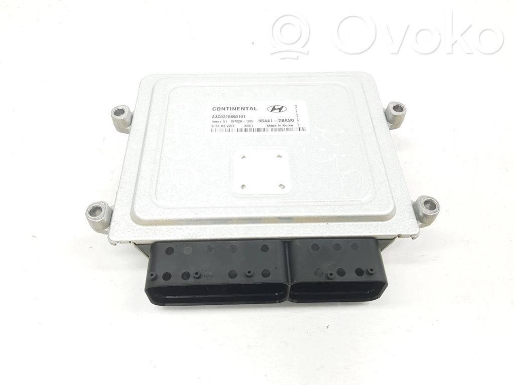 Engine control unit/module   954412BAS0,954412BAS0