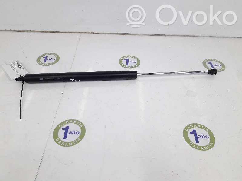 Peugeot Partner Tailgate/trunk strut/damper 
