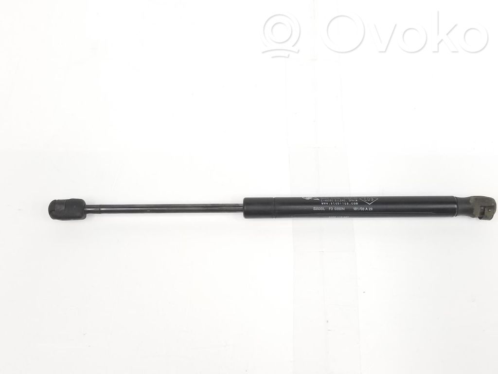 Renault Megane II Ammortizzatore portellone posteriore/bagagliaio 