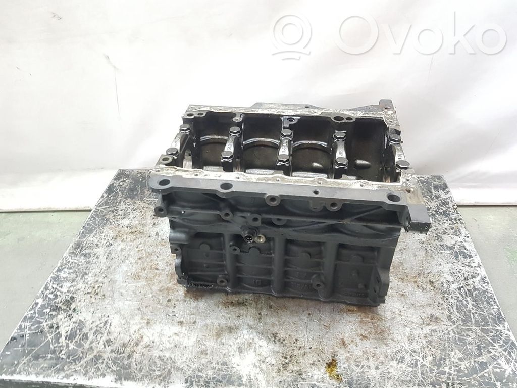 Skoda Octavia Mk2 (1Z) Bloque de motor 