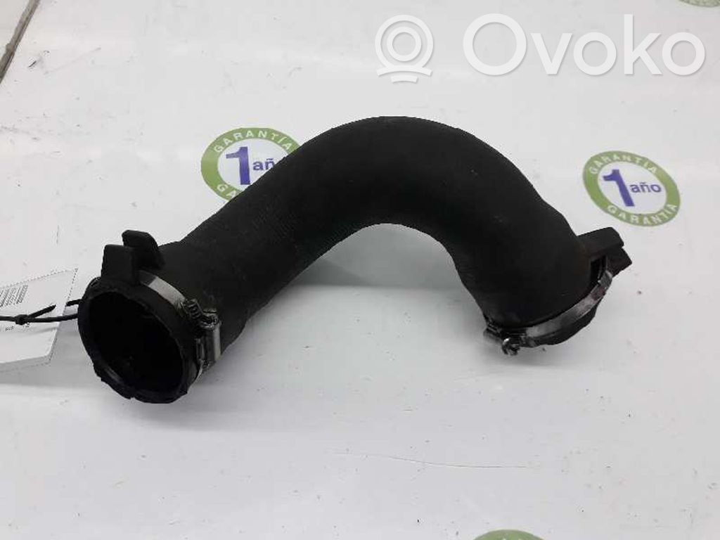 Peugeot Expert Intercooler hose/pipe 