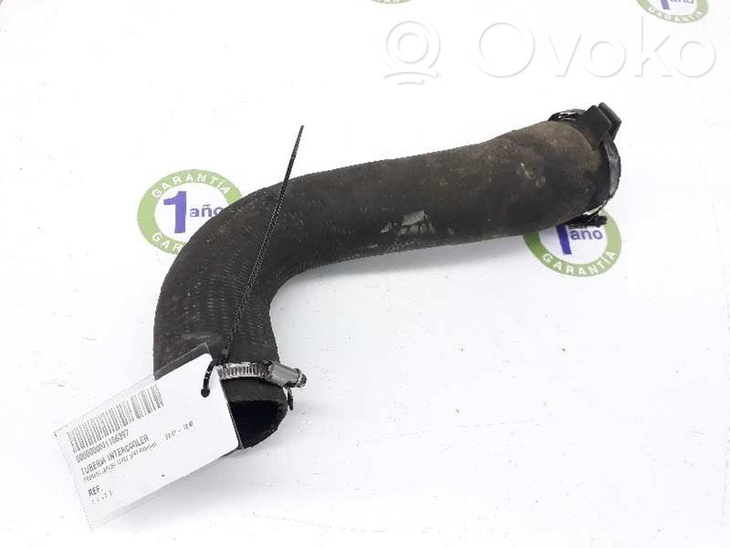 Peugeot Expert Intercooler hose/pipe 
