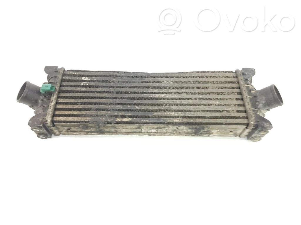 Ladeluftkühler   1881207,CC119L440AF