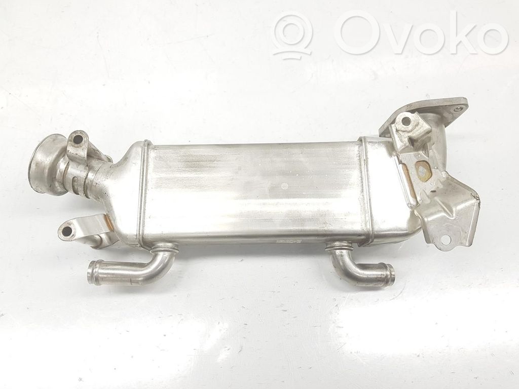 Mercedes-Benz A W176 Valvola di raffreddamento EGR