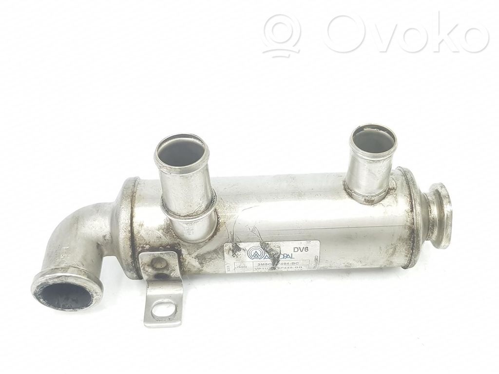 Ford Focus Refrigerador de la válvula EGR 