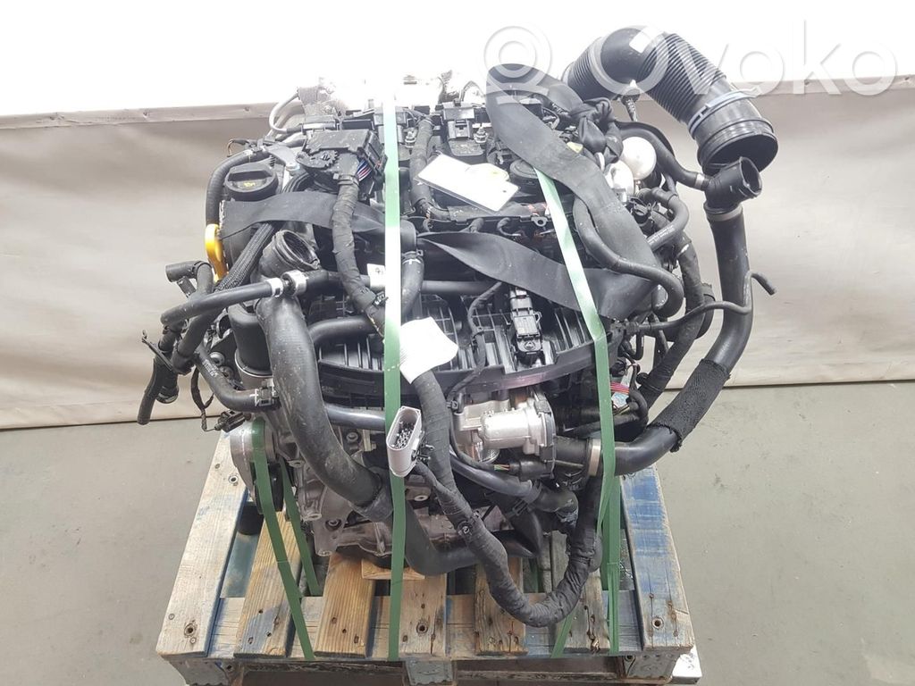 Motor   DNNA,DNNA