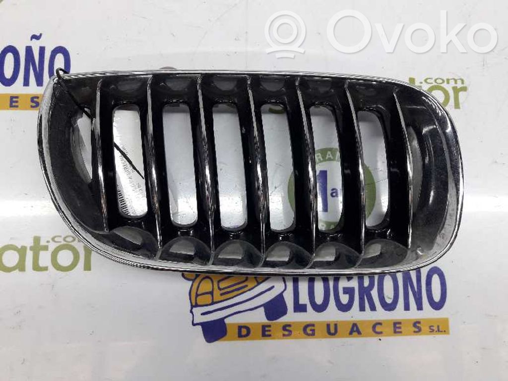 BMW X3 E83 Front grill 