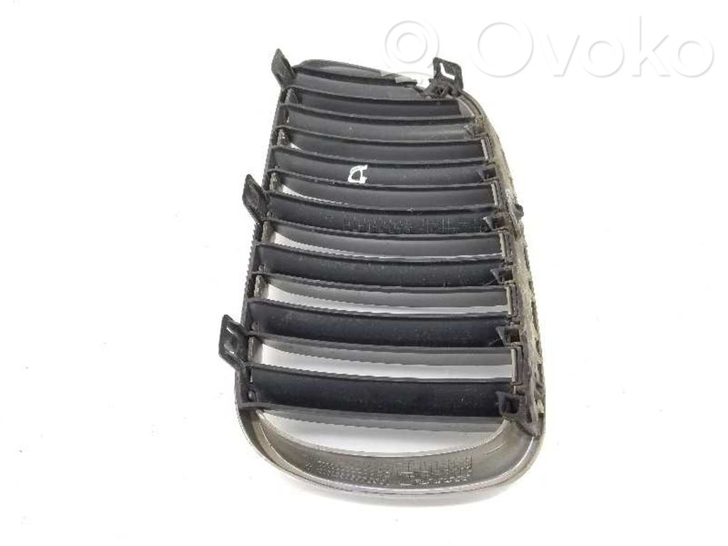 Rejilla delantera   51113420088,51113420088