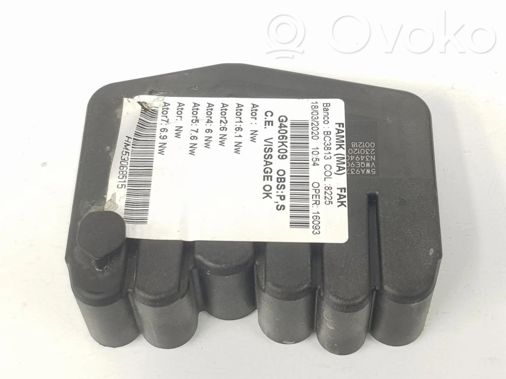 Cupra Formentor Sonstige Steuergeräte / Module 