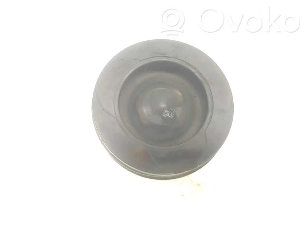 Pistón   120A18448R,120A18448R,1111AA