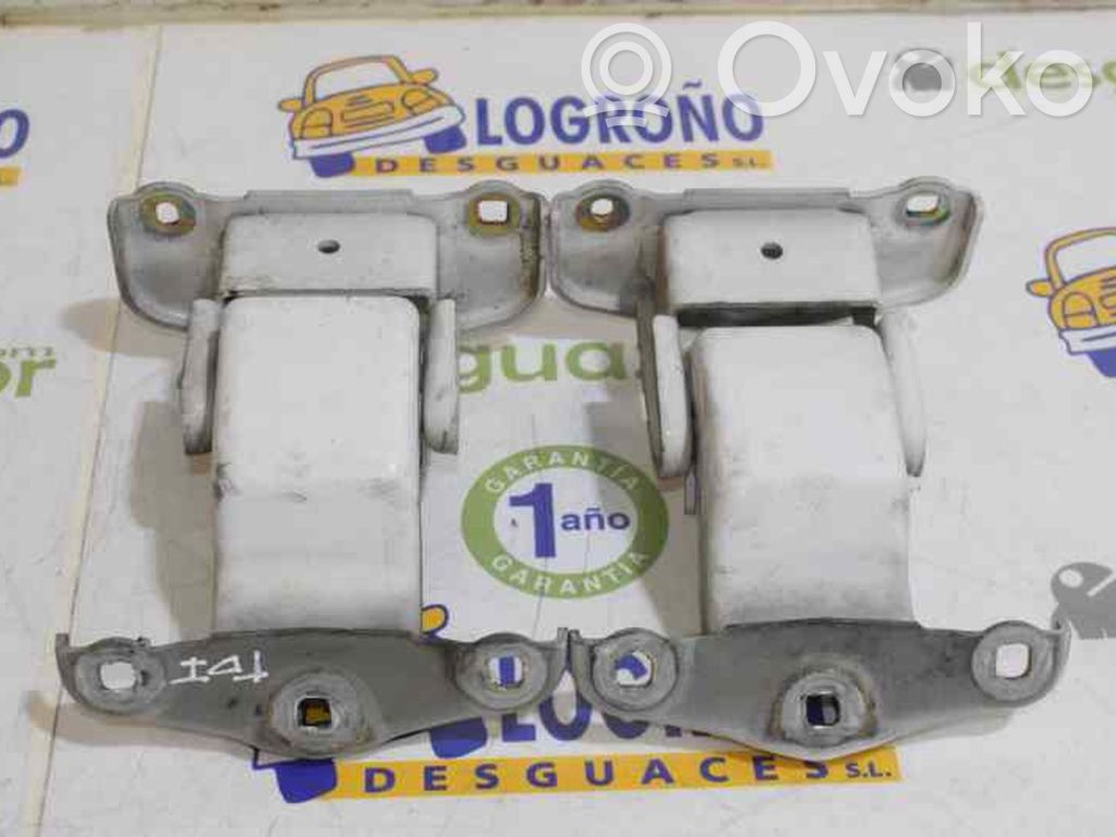 Renault Trafic II (X83) Tailgate hinge 
