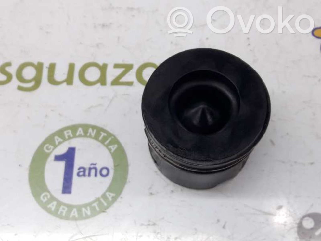 Piston   11257810825,11257810825