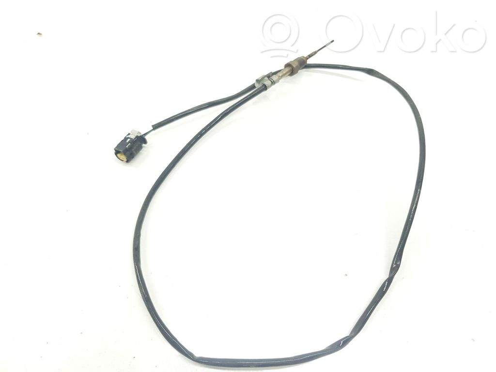 BMW X1 F48 F49 Sensor 