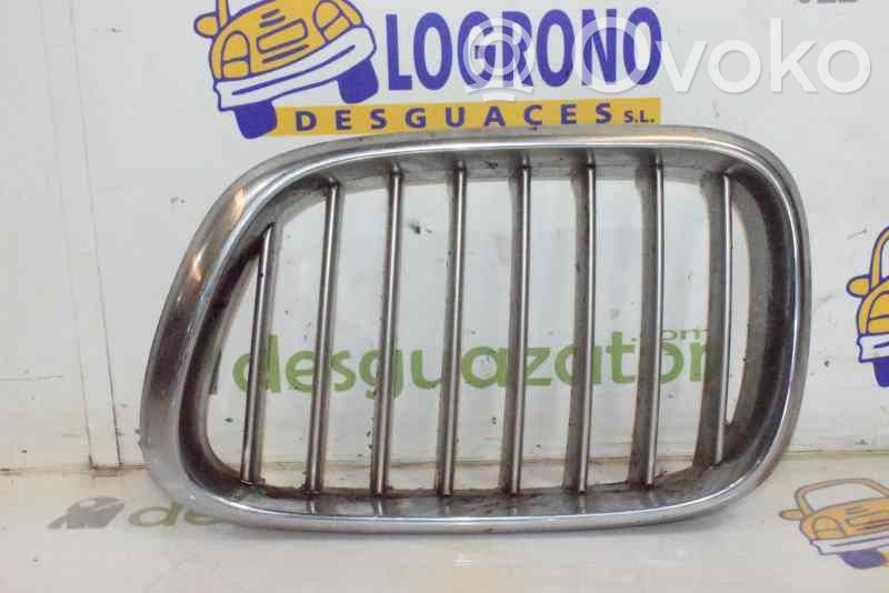 BMW X5 E53 Front grill 