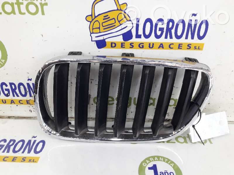BMW X3 G01 Front grill 