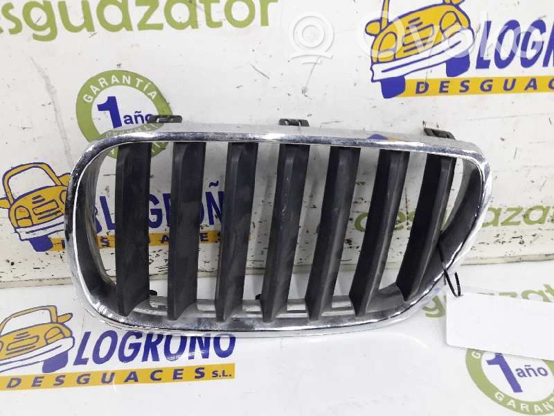 BMW X3 G01 Front grill 