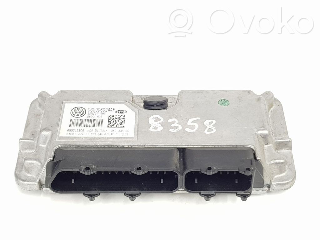 Seat Ibiza III (6L) Centralina/modulo del motore 