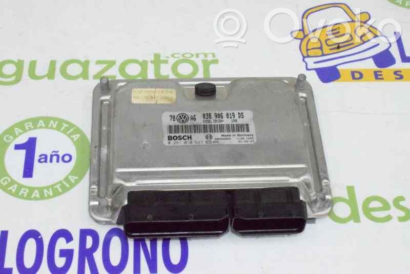 Volkswagen PASSAT B5.5 Unitate/modul de control motor 