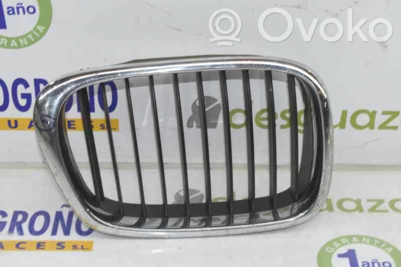 Front grill   51137005838,51137005838
