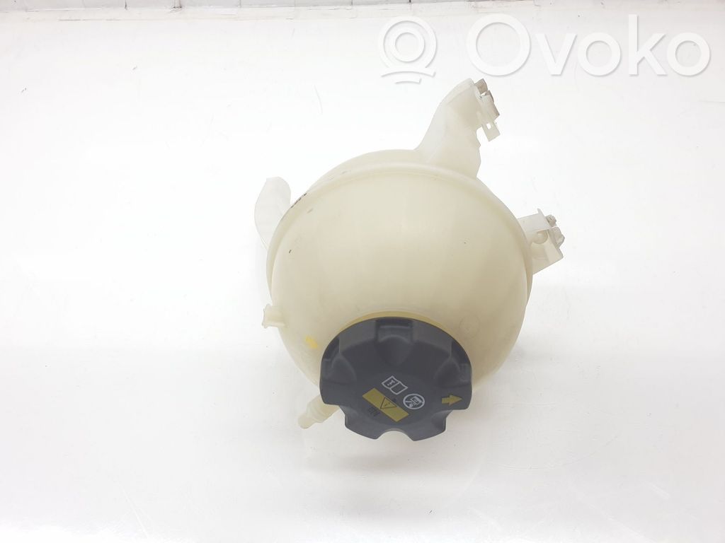 BMW X6 G06 Vas expansiune/rezervor lichid de răcire 
